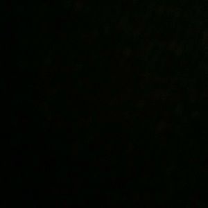 Meet your Posher, Freddie